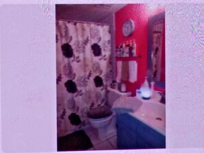 Bathroom - N Phx/PV "House share" w/Pool w/female & dog. Conveniently located near 51 frwy (Phoenix)