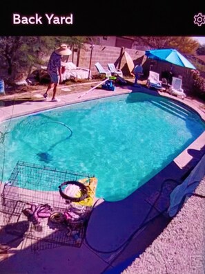 Pool - N Phx/PV "House share" w/Pool w/female & dog. Conveniently located near 51 frwy (Phoenix)