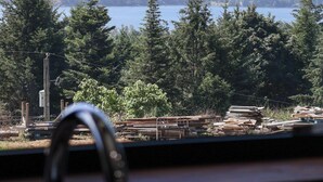 A view of a lake with mountains in the distance, surrounded by trees.