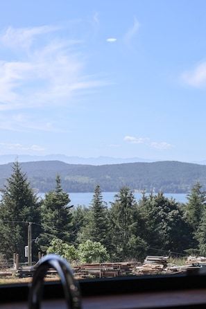 A view of a lake with mountains in the distance, surrounded by trees.
