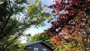 Ein Haus mit gepflegtem Rasen, einem Kiesweg, der zum Eingang führt, und verschiedenen Bäumen im Hintergrund.