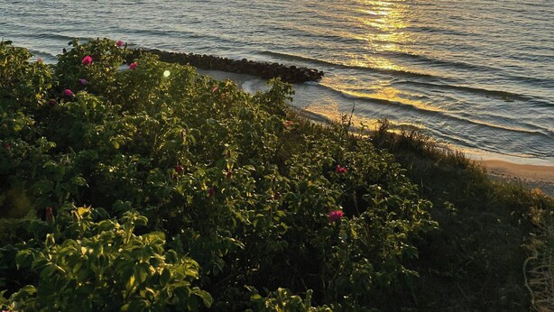 Ein Sonnenuntergang über dem Meer mit Wellen und einer felsigen Küste.