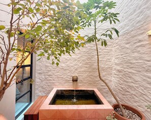 Spa - Serene 2-bedroom apartment in charming Guadalajara perfect for relaxing stay (Guadalajara)