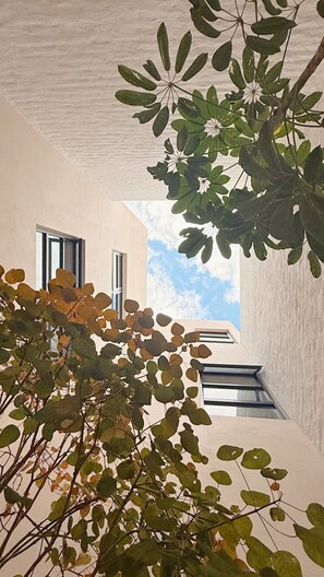 Ein modernes Gebäude mit großen Fenstern und Blick zum Himmel.