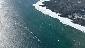 Vue aérienne d’une zone côtière, avec un ciel dégagé, une vaste étendue d’eau et une zone terrestre couverte de forêts.