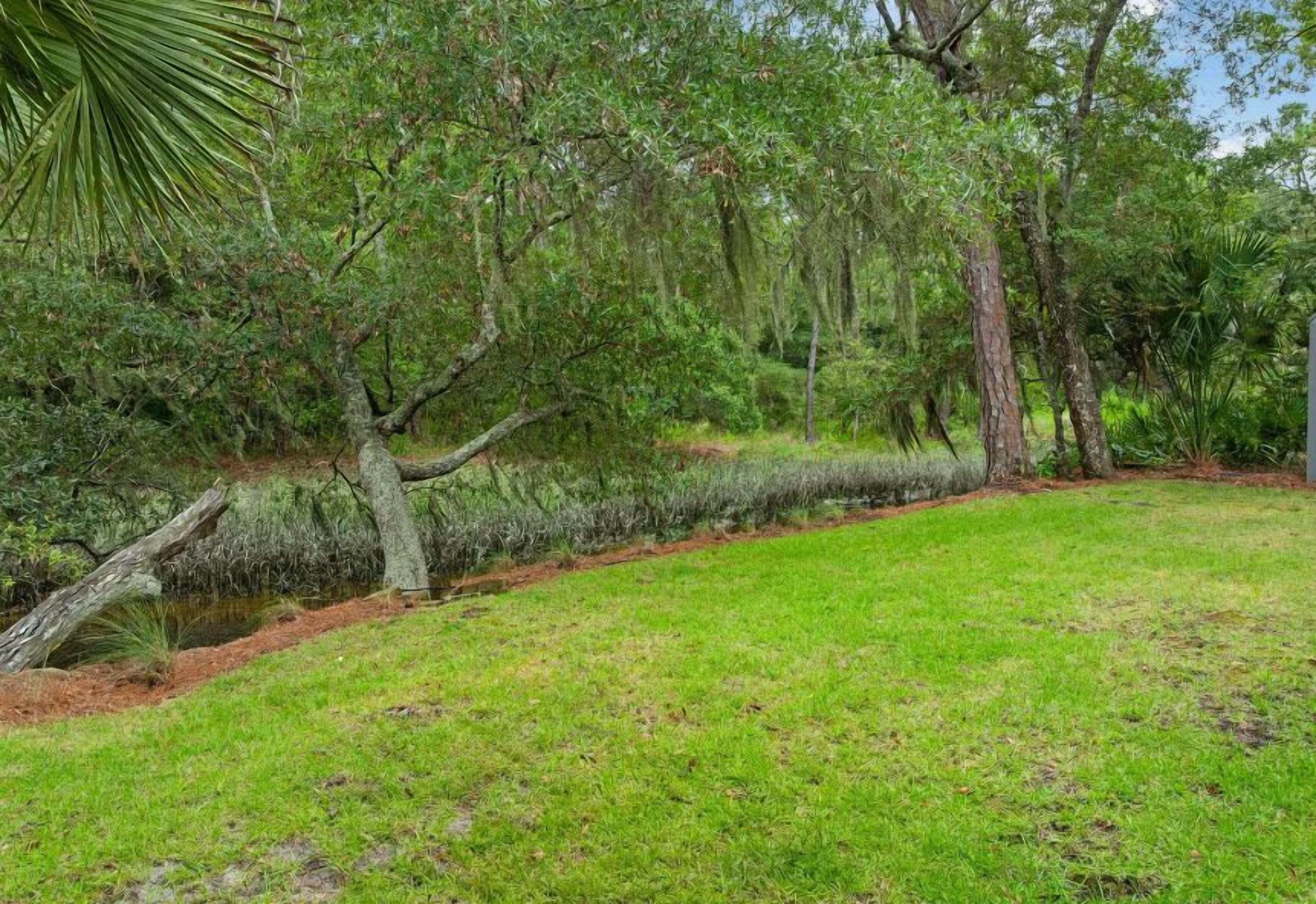 A grassy area with trees and a water body.