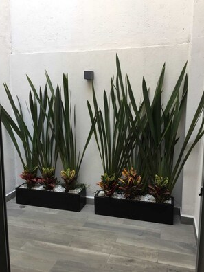 Two black rectangular planters with green foliage and red-leafed plants against a white wall. - Super Loft Corazon Polanco (Abedul) (Ciudad de México)