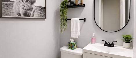 Un baño con inodoro, lavamanos con espejo, un cuadro en la pared y un rollo de papel higiénico.