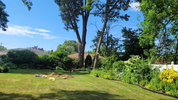 Un jardín bien cuidado con césped, árboles y diversas plantas.