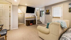 Smart TV, fireplace, books
