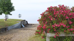A sandy beach with a wooden fence, a tree, and a boat in the distance.
