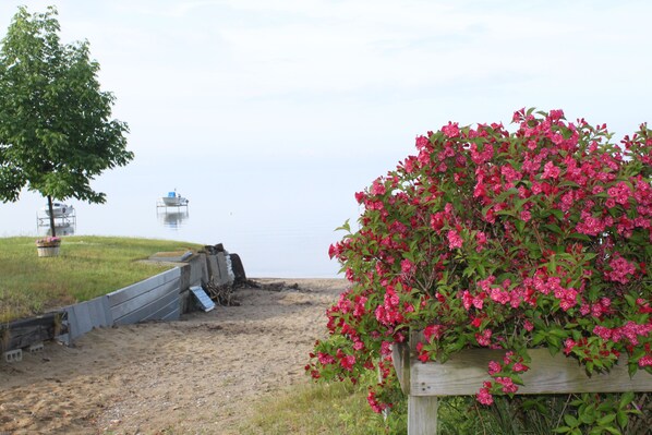 Miscellaneous - Welcoming 3-bedroom cottage in charming Colchester for your getaway (Colchester)