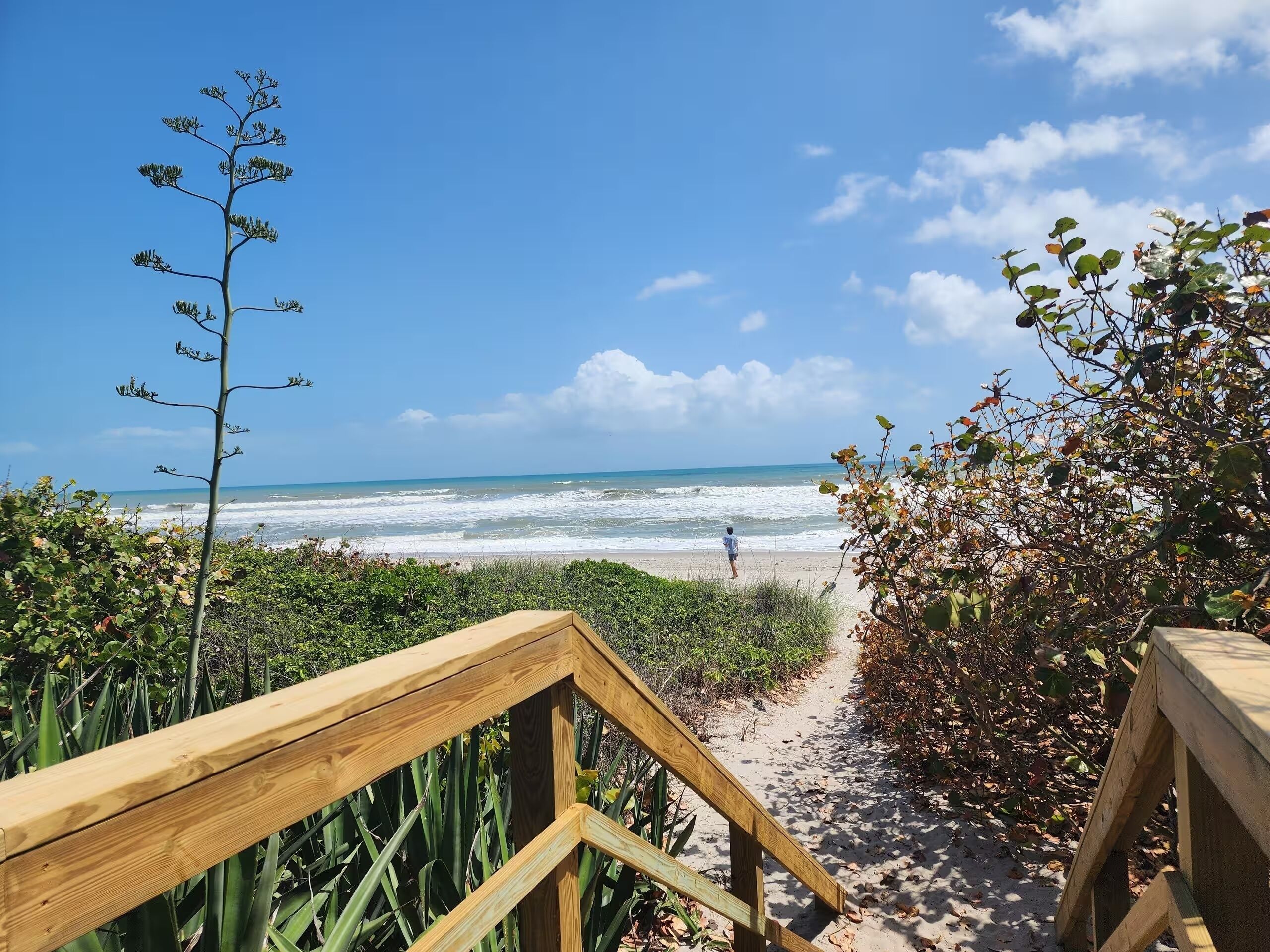 Un sentier en bois qui mène à une plage offrant une vue sur l’océan.