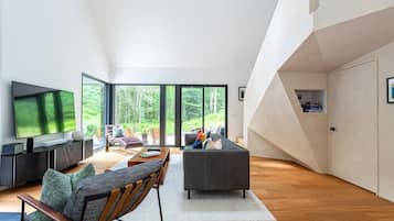 TV, fireplace, books, stereo