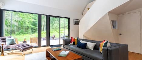 TV, fireplace, books, stereo