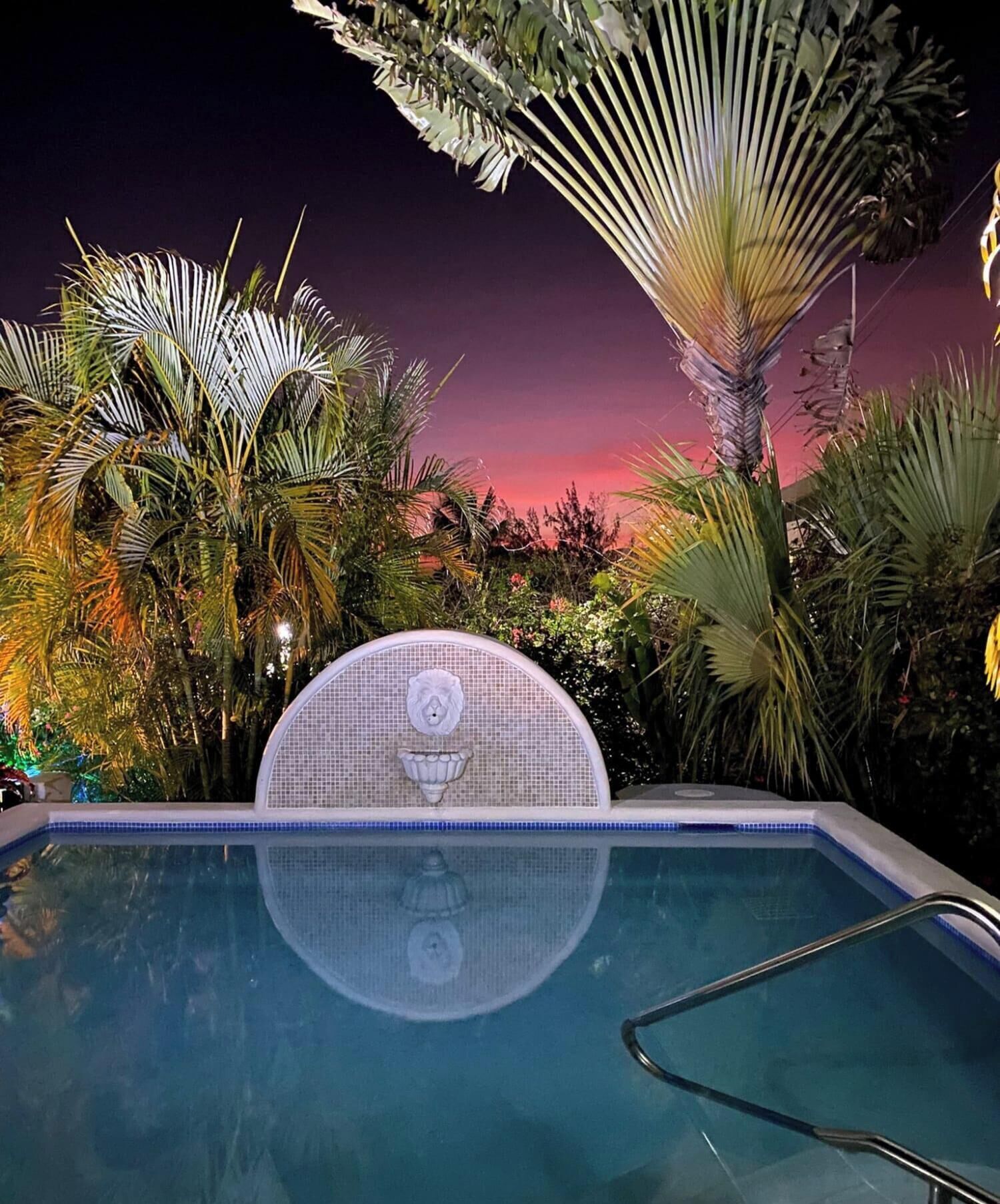 An outdoor swimming pool with a tiled edge, surrounded by lush tropical plants and a sunset in the background.