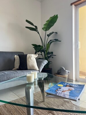 Ein Wohnzimmer mit einer Couch, einem Glastisch, einer Zeitschrift, einem Blumentopf und Blick durch ein Fenster.