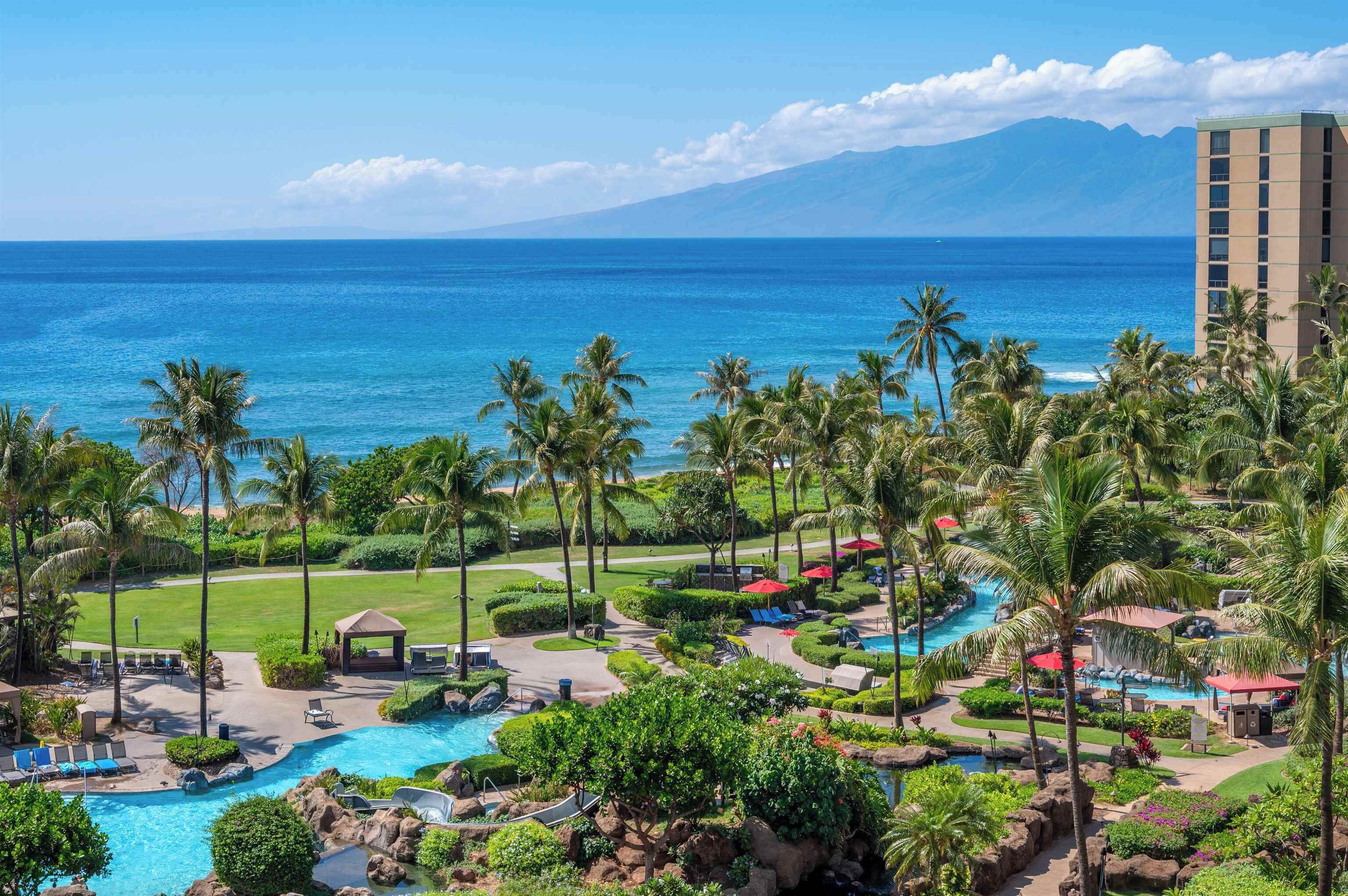 Un resort con piscina, palme e vista sull'oceano.