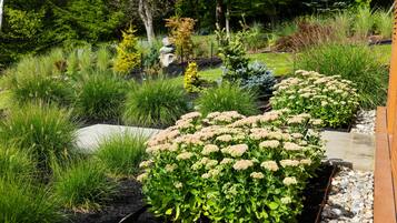 Un jardin avec différentes espèces de plantes et une structure en pierre.