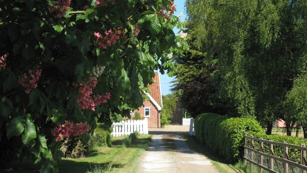 A gravel path leading to a brick building with a white fence and lush greenery on both sides. - Colston Cottage, Badingham (Badingham)