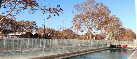 A clear swimming pool with a wooden deck, surrounded by trees and a fence.