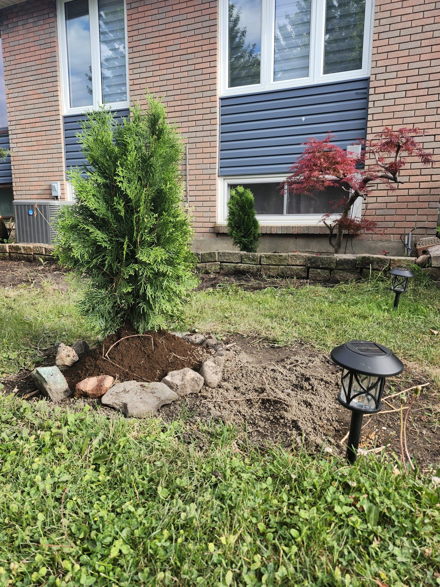 Un jardín residencial con un árbol pequeño, un muro de piedra y un farol negro.