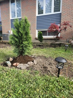 Un jardín residencial con un árbol pequeño, un muro de piedra y un farol negro.