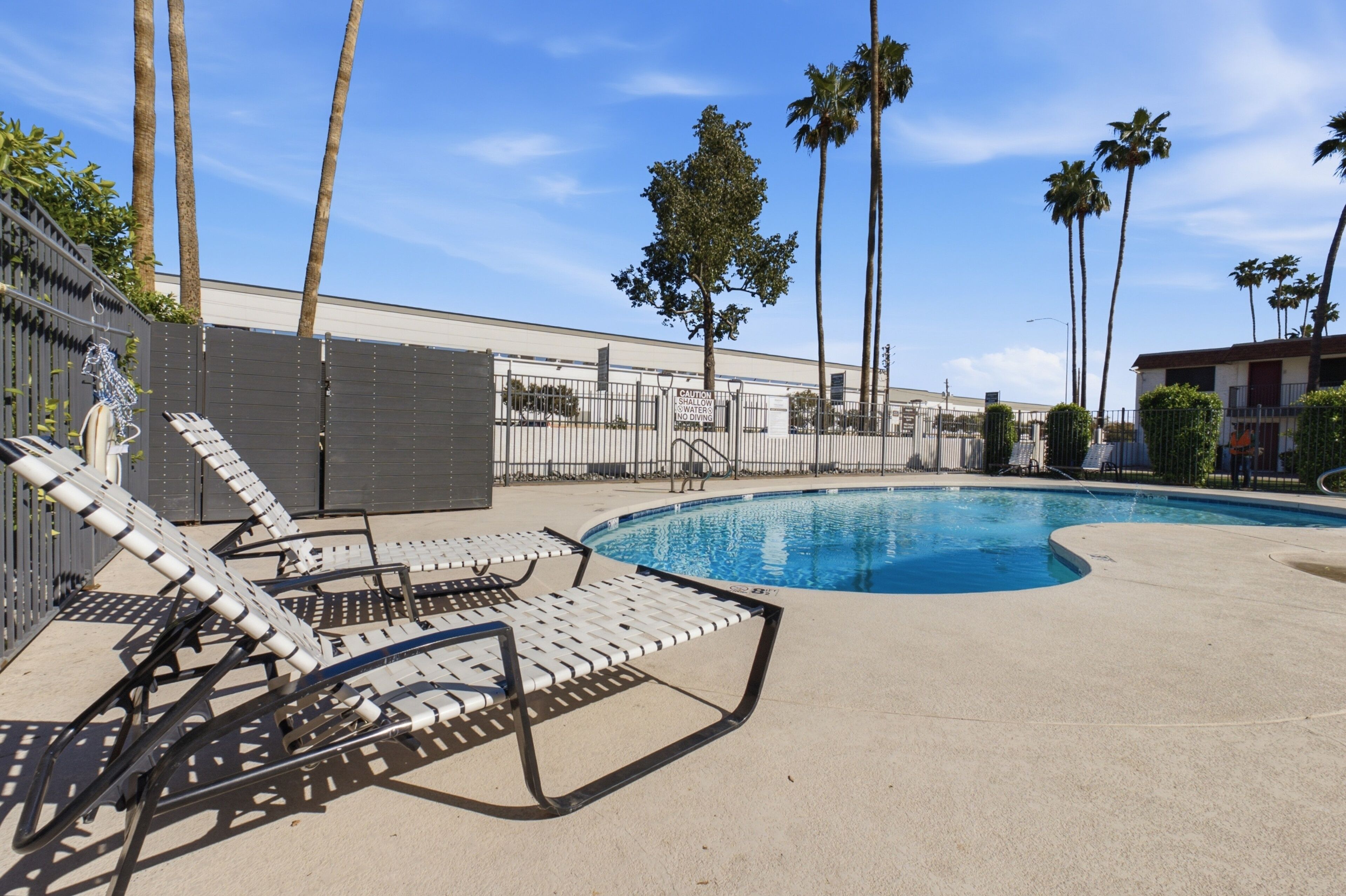 A swimming pool with lounge chairs, palm trees, and a fence.
