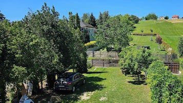 Área da propriedade