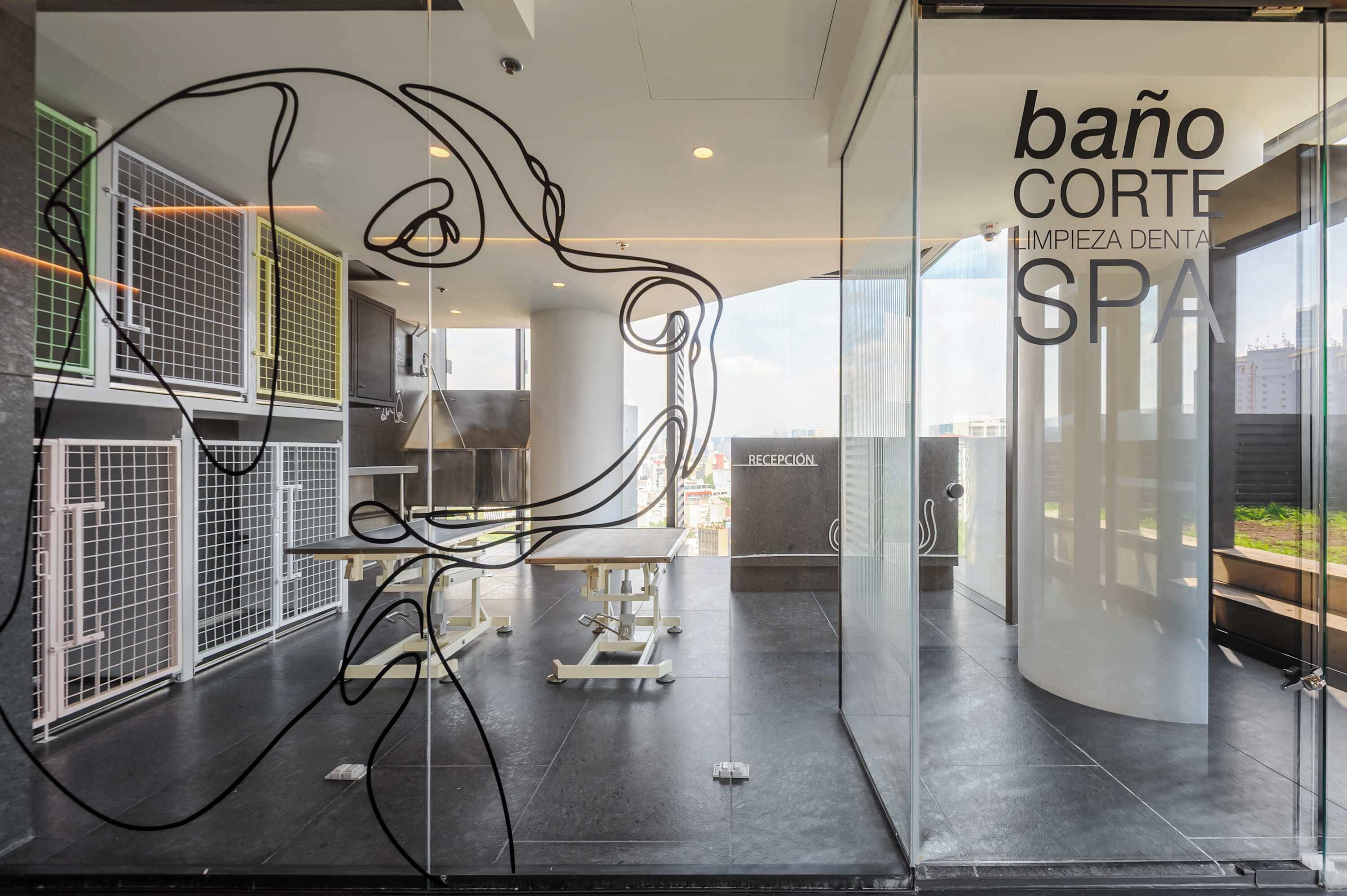 Een modern spa interieur met een receptiebalie, een ruimte voor tandreiniging en een uitzicht op de stad door grote ramen.