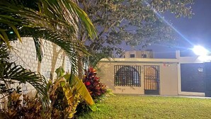 Un césped bien cuidado, un edificio con portón cerrado y un árbol de follaje denso.