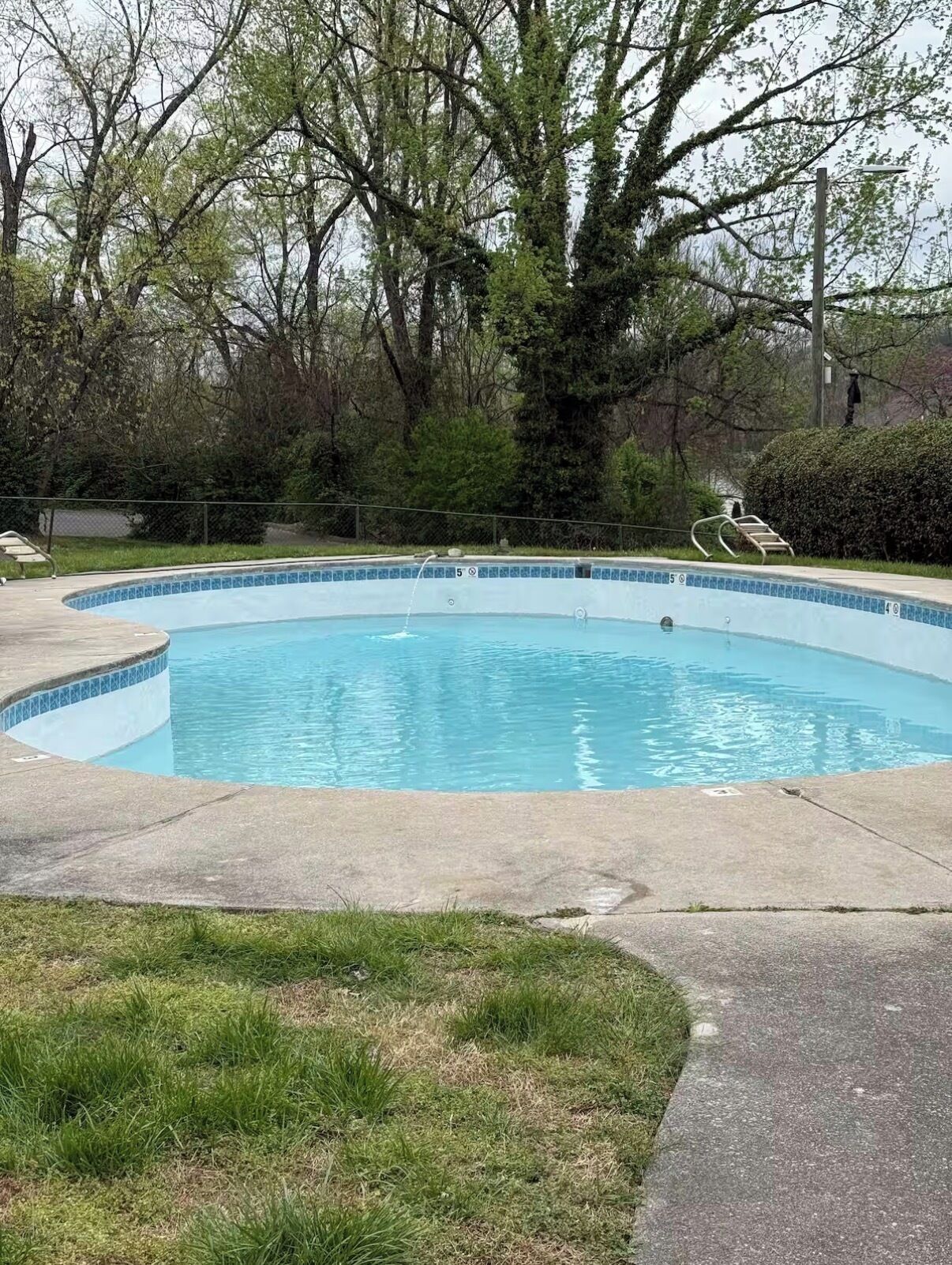 A circular swimming pool with a tiled edge, surrounded by grass and trees.