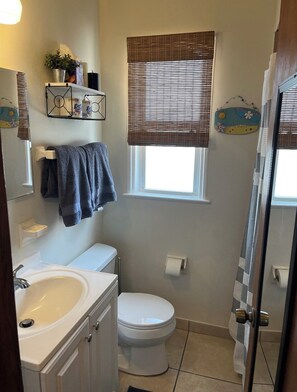Baño con lavamanos, inodoro y zona de ducha.