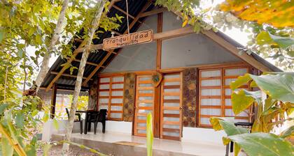 Tranquilidad Cabin, Left Hemisphere