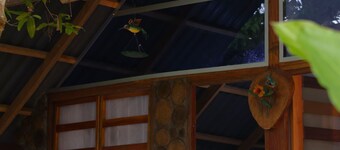 Tranquilidad Cabin, Left Hemisphere