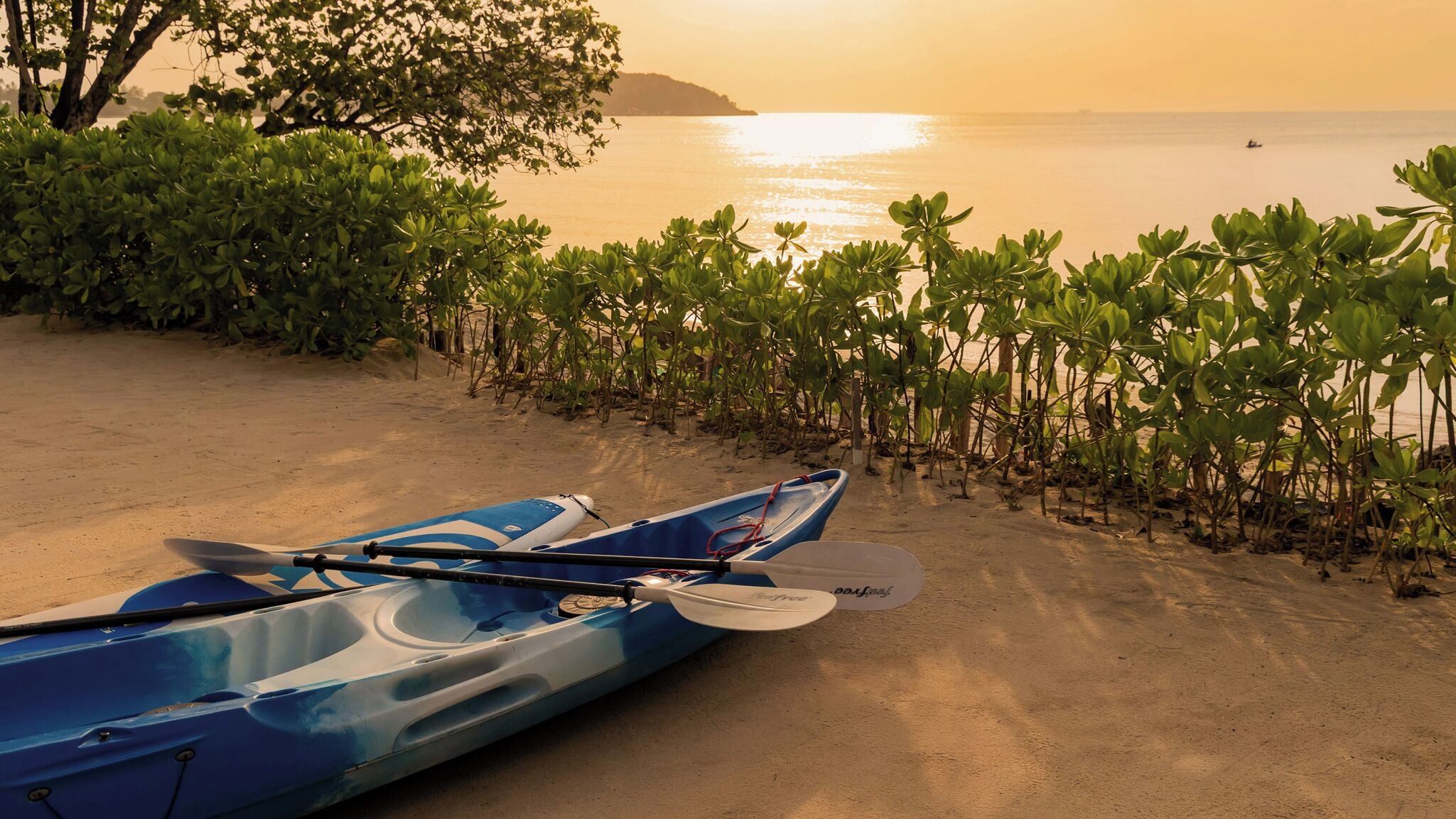 Ubicación a pie de playa, tumbonas, toallas de playa y kayak