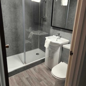 Une salle de bain moderne avec une douche à parois de verre, un lavabo avec un miroir et des toilettes.