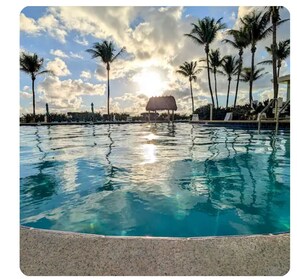 Pool - Luxury Beach Front View and Comfort Best line in the building, direct ocean view (Hollywood)