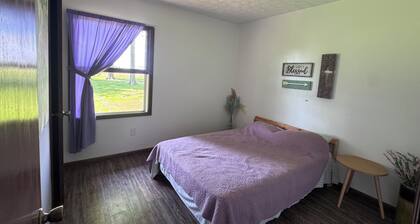 Relaxing 3-bedroom Amish living home just minutes away from amish country!
