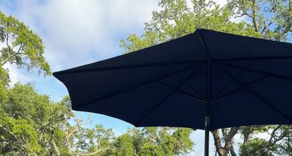 No Egrets: 2 BR Condo Gulf Views, Pool, Walk to Beach, Golf Cart District
