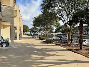 A paved walkway with a bench, a flag, and a palm tree.