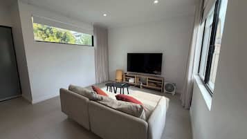 Televisor