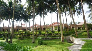 A courtyard with palm trees, a stone pathway, and a building with arches in the background.