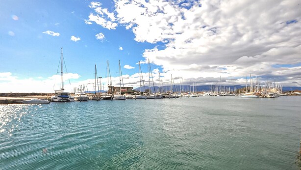 Ein Yachthafen mit zahlreichen Segelbooten, ruhiges Wasser und einem wolkenlosen Himmel.