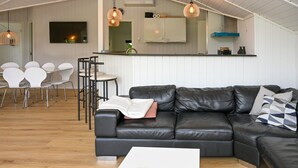 Smart-TV, Kamin