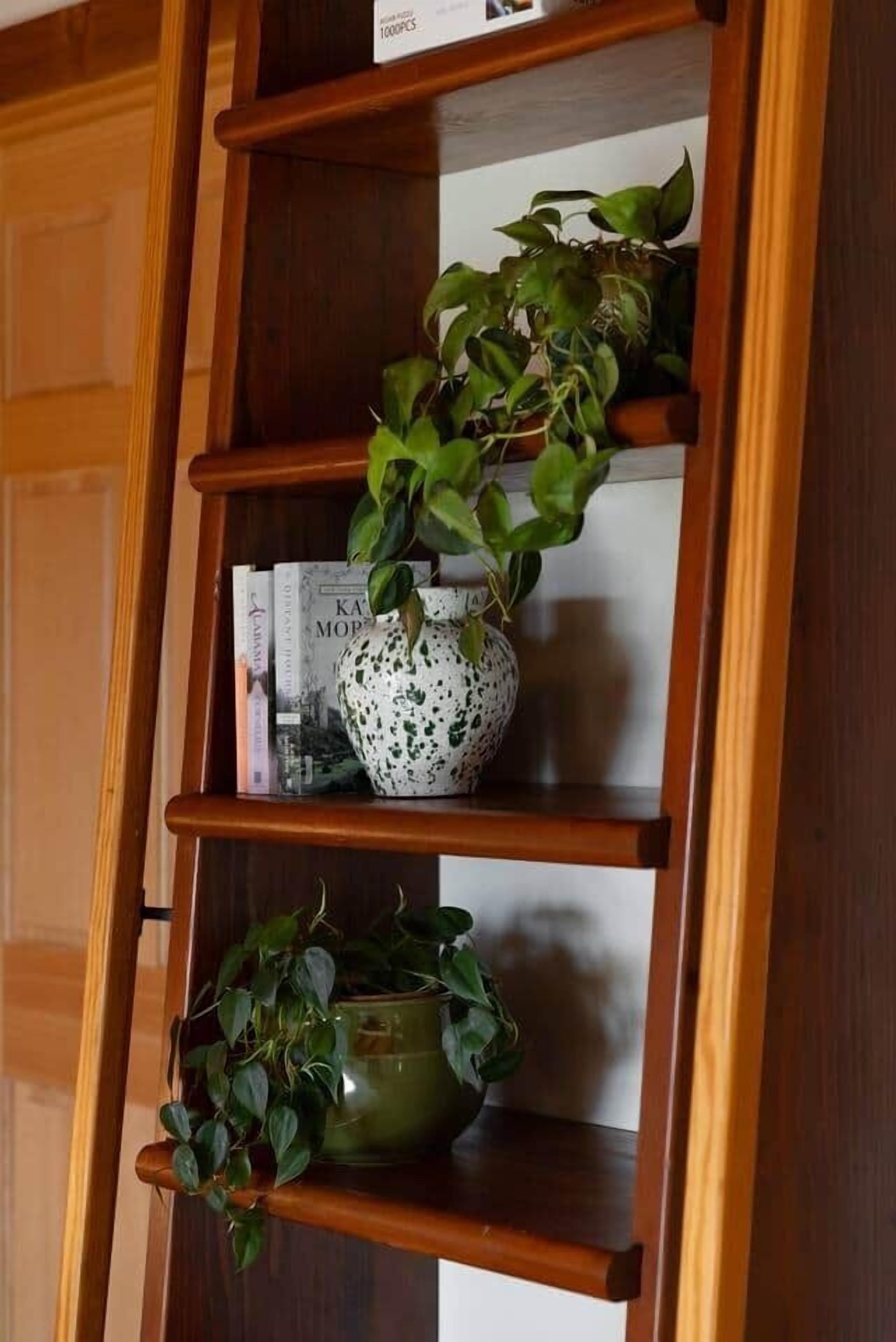 Ein Holzboden mit zwei Blumentöpfen und Zeitschriften.
