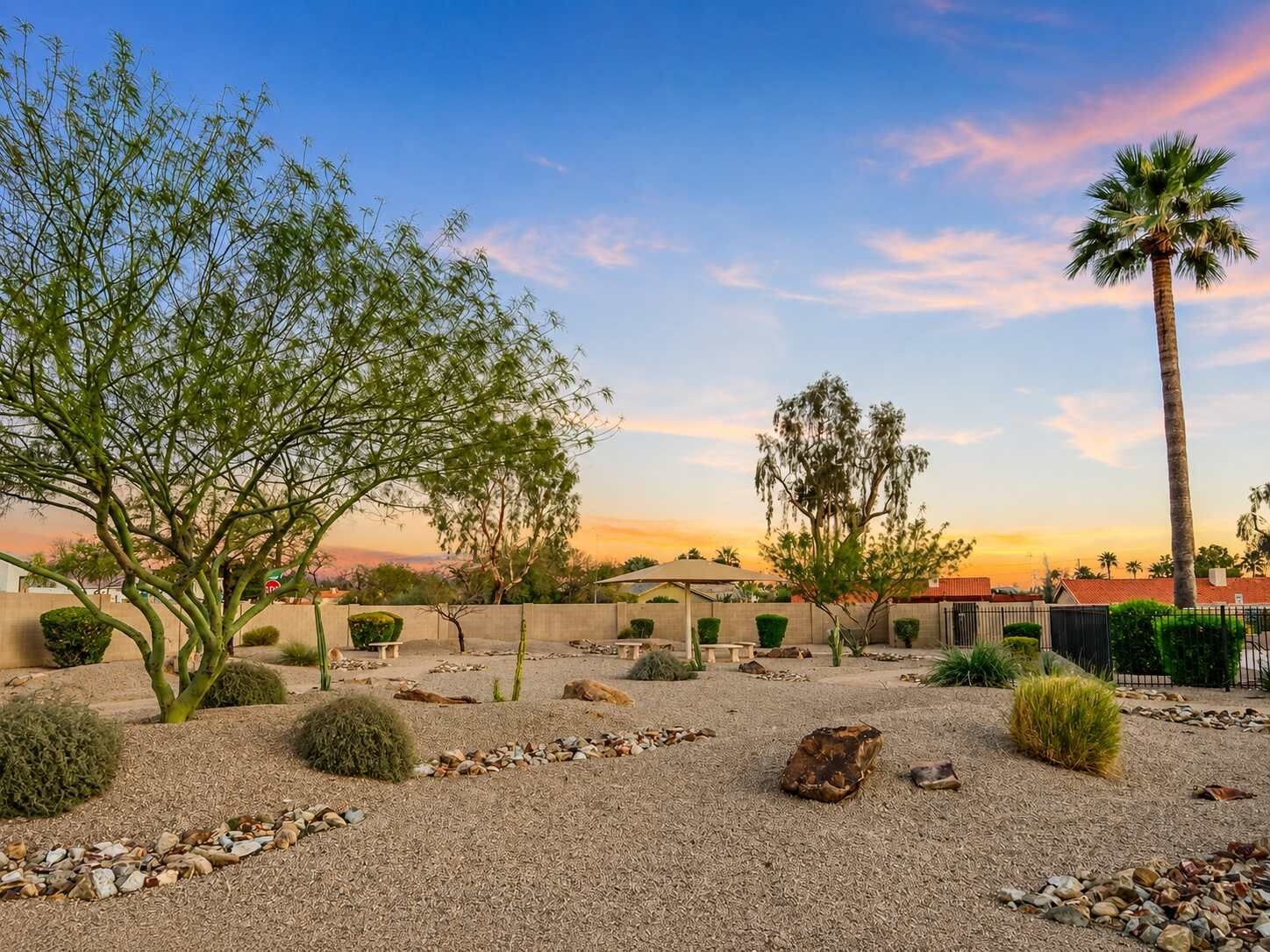 A desert landscape with a variety of trees, a palm tree, and a gravel ground.
