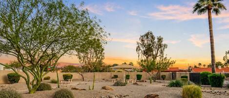 A desert landscape with a variety of trees, a palm tree, and a gravel ground.