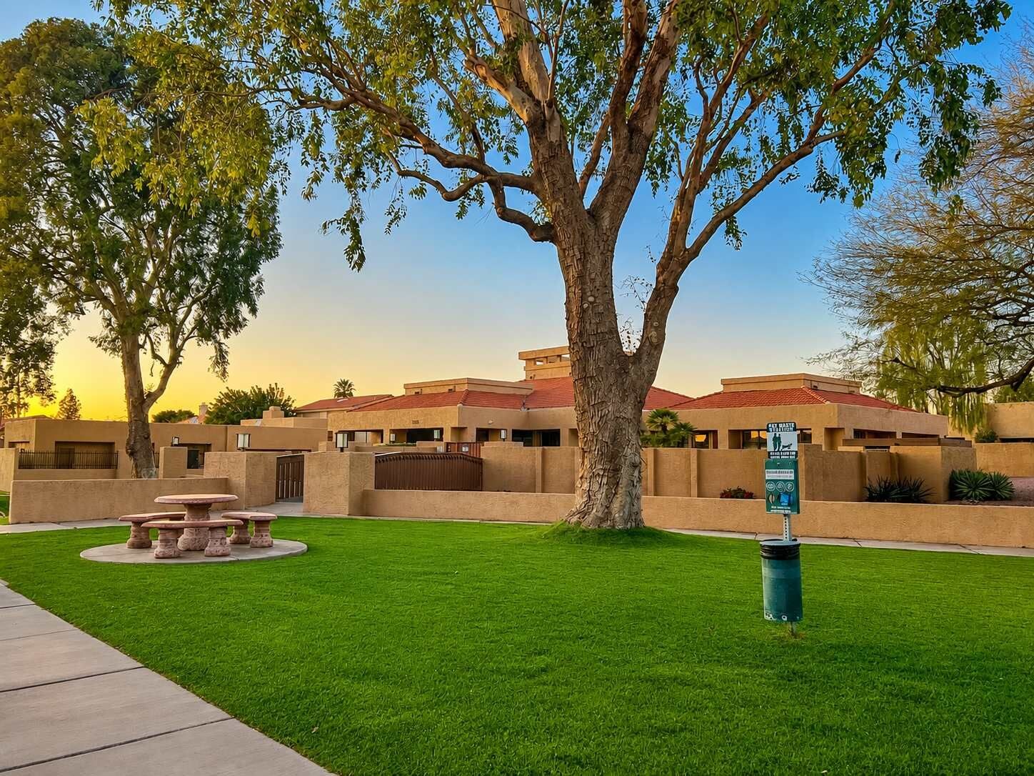 A courtyard with a large tree, a picnic table, and a trash can.