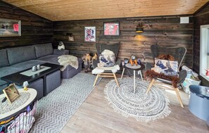 Smart-TV, Kamin